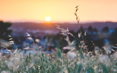 How to Support a Friend Who Has Lost a Child