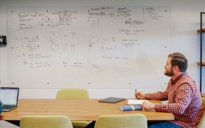 Orchard NEO Update // Mayfield Heights