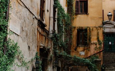 A Global Gift Thanks to You