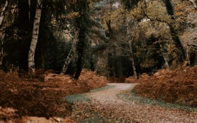 What Does Faith Look Like in Tough Seasons?