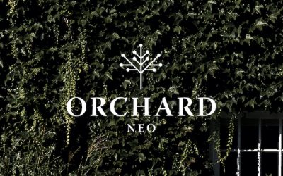 Meet Our New Church Planters