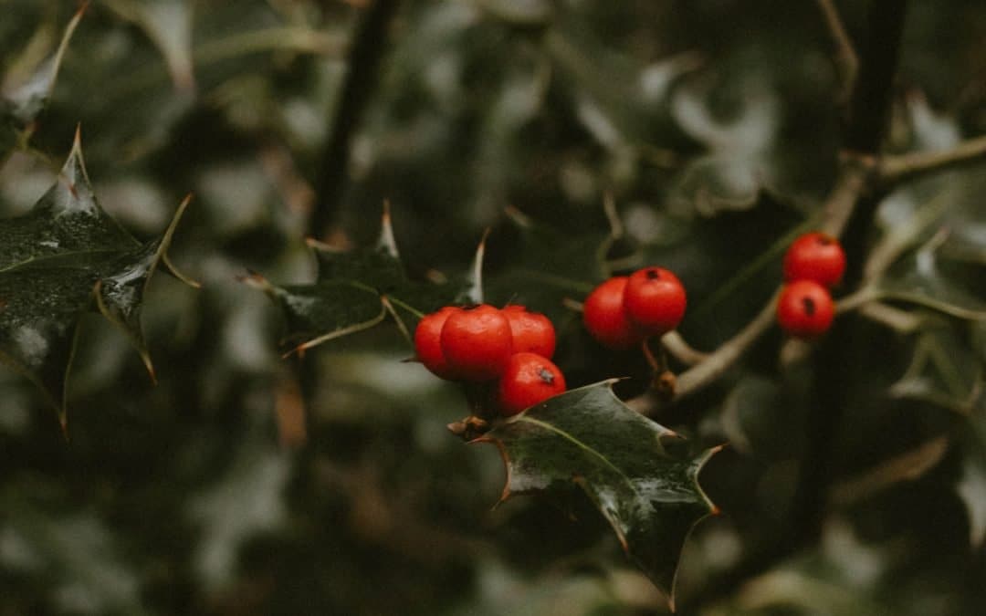 The Importance of Sabbath Rest for Our Weary Souls