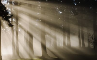 Even There, God’s Presence Is with You