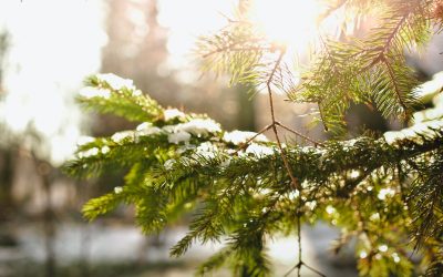 The Gift of Christmas Music