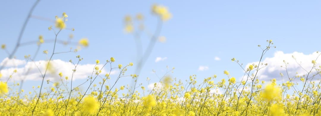 Holding on to the Hope that Fills and Fulfills