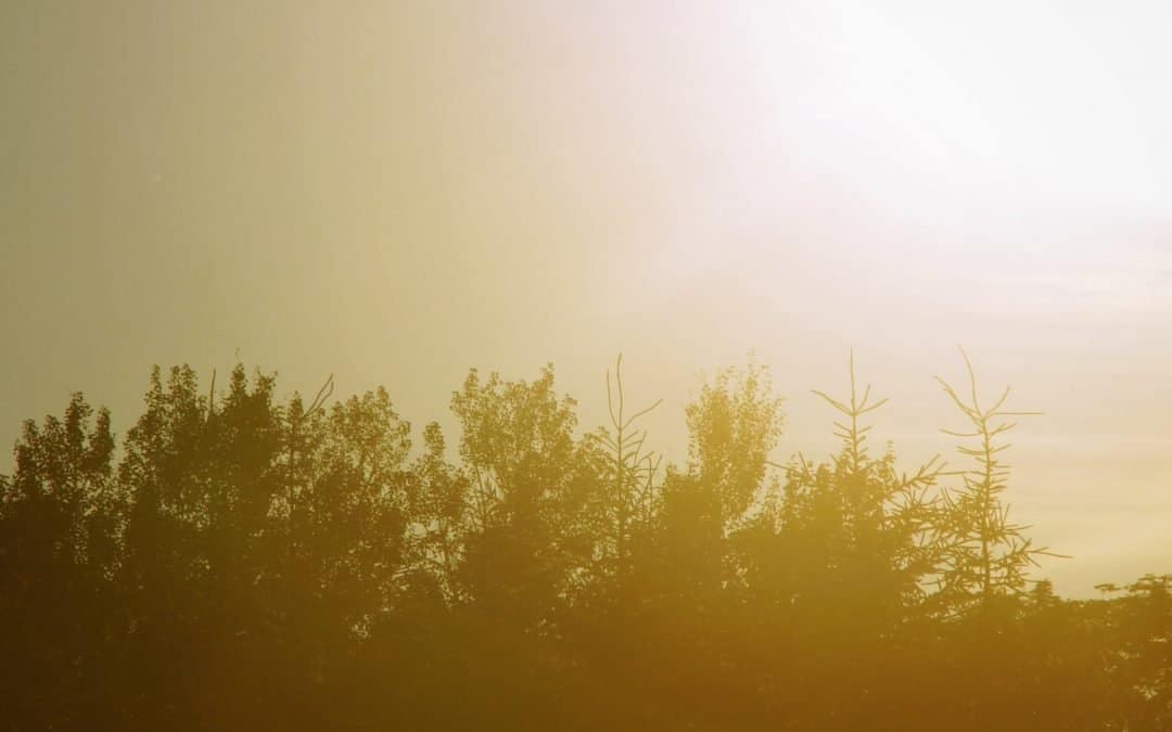 Living a Life That Proclaims “He Is Risen, Indeed.”