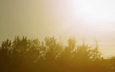 Living a Life That Proclaims “He Is Risen, Indeed.”