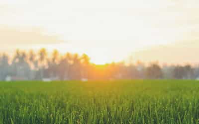 Faith is Trusting The God Who Went First